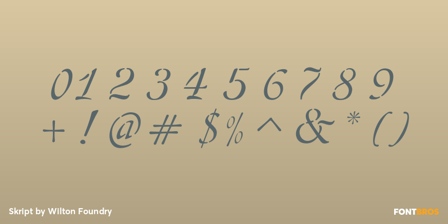 Skript Font Poster #4