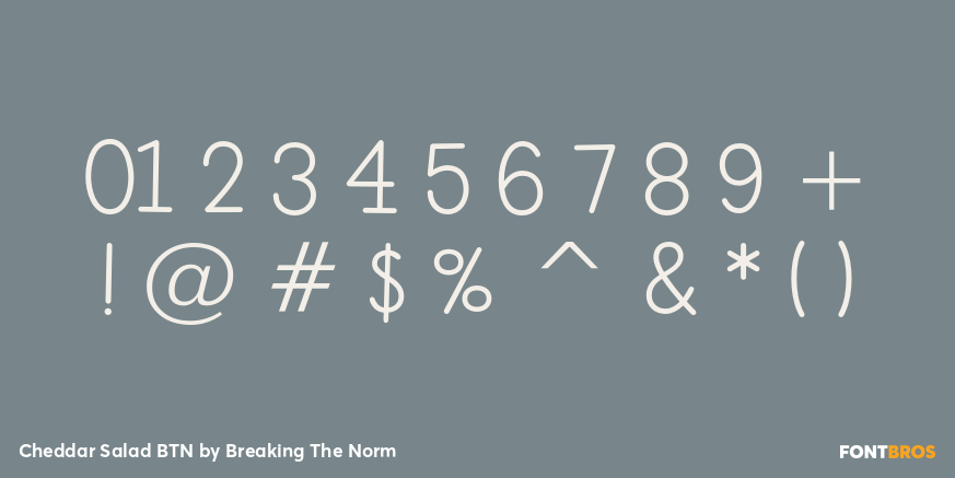 Cheddar Salad BTN Font Poster #4