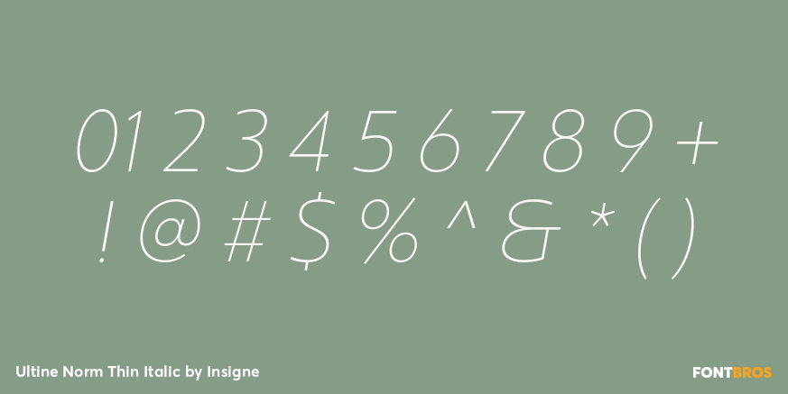 Ultine Norm Thin Italic Font Poster #4