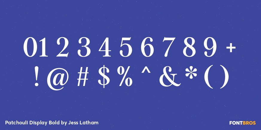 Patchouli Display Bold Font Poster #4