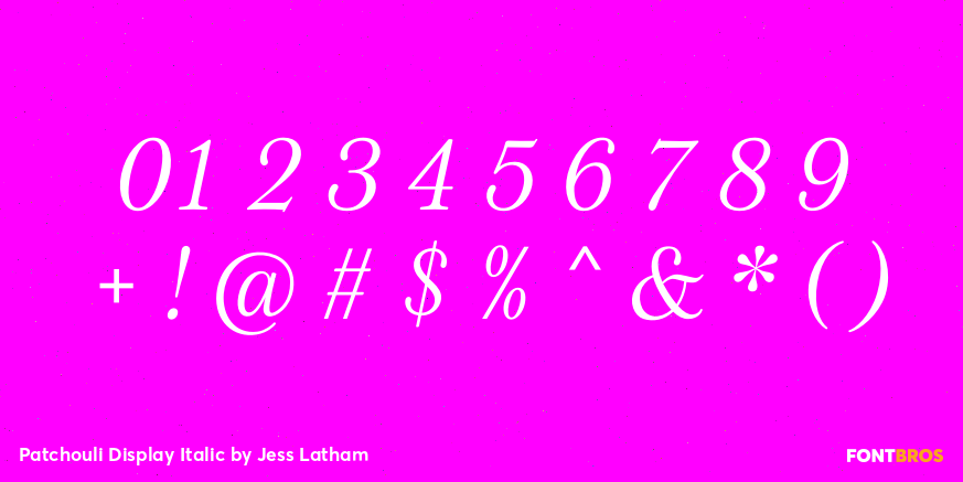 Patchouli Display Italic Font Poster #4