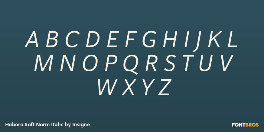 Haboro Soft Norm Italic Font Poster #2