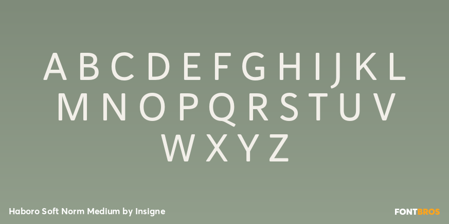 Haboro Soft Norm Medium Font Poster #2