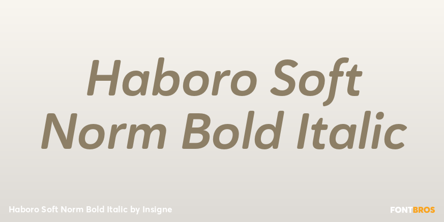 Haboro Soft Norm Bold Italic Font Poster #1