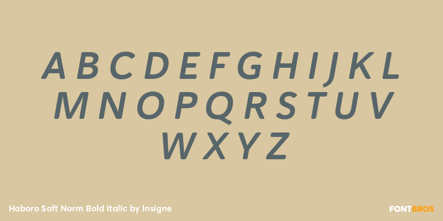 Haboro Soft Norm Bold Italic Font Poster #2