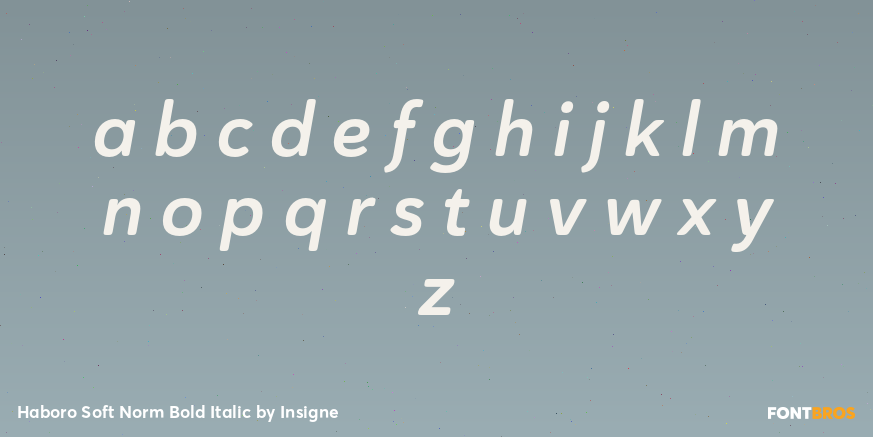 Haboro Soft Norm Bold Italic Font Poster #3