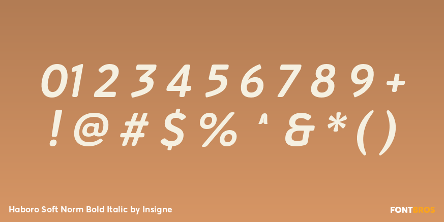 Haboro Soft Norm Bold Italic Font Poster #4