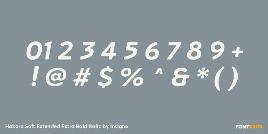 Haboro Soft Extended Extra Bold Italic Font Poster #1