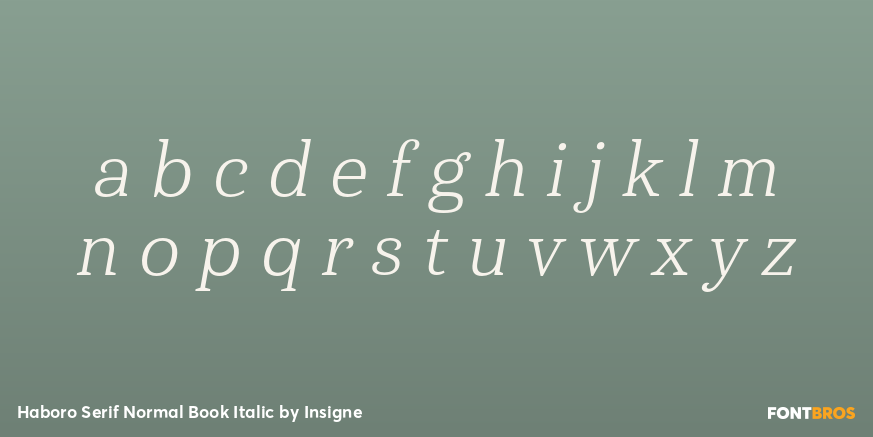 Haboro Serif Normal Book Italic Font Poster #3