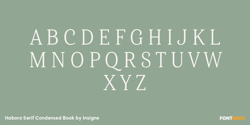 Haboro Serif Condensed Book Font Poster #2