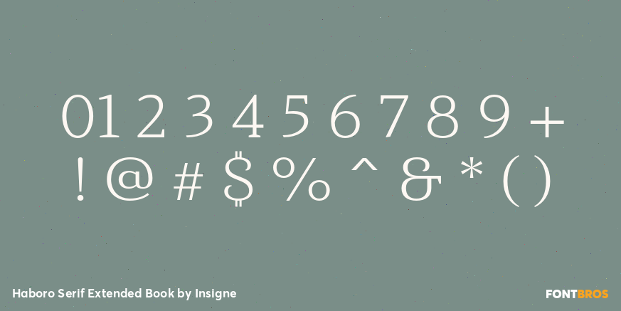Haboro Serif Extended Book Font Poster #1
