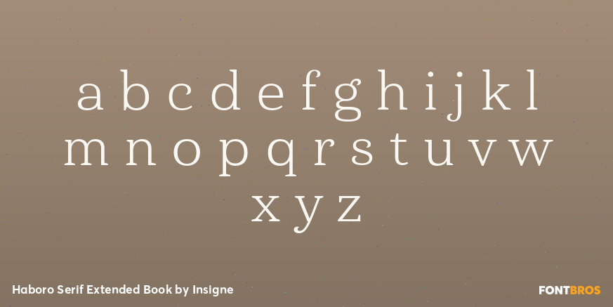 Haboro Serif Extended Book Font Poster #1
