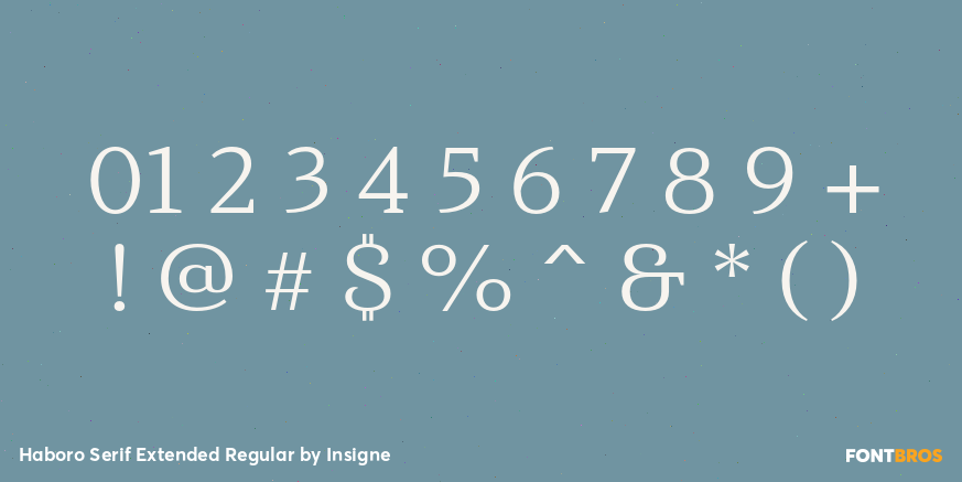 Haboro Serif Extended Regular Font Poster #4