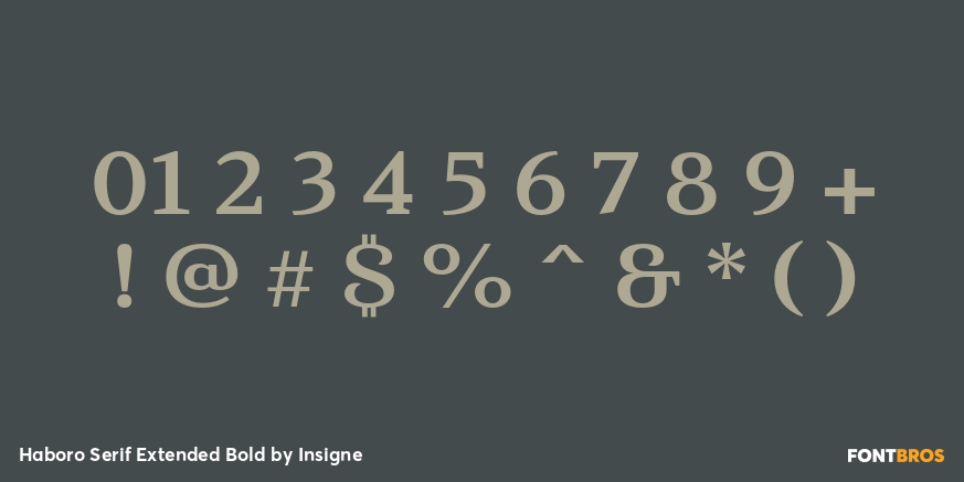 Haboro Serif Extended Bold Font Poster #4