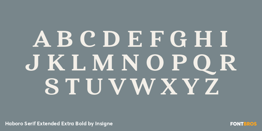 Haboro Serif Extended Extra Bold Font Poster #2
