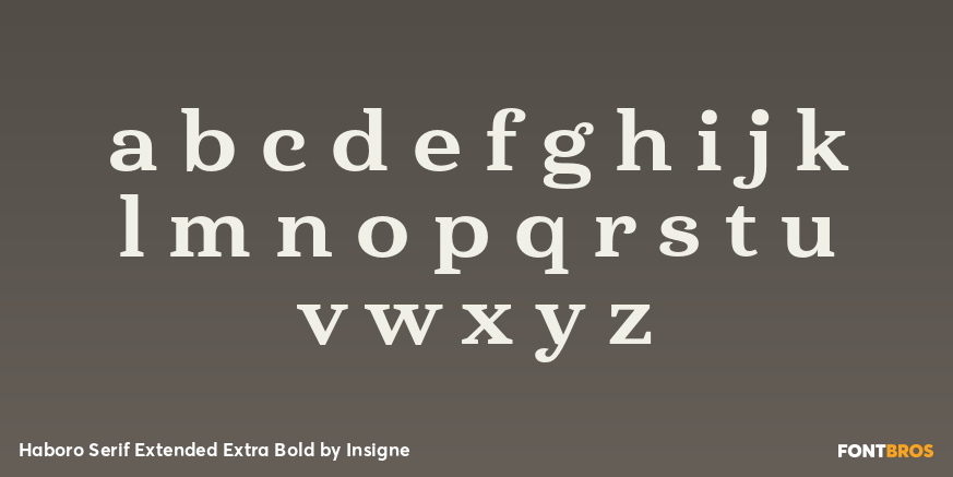 Haboro Serif Extended Extra Bold Font Poster #3