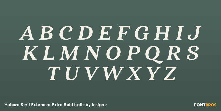 Haboro Serif Extended Extra Bold Italic Font Poster #2
