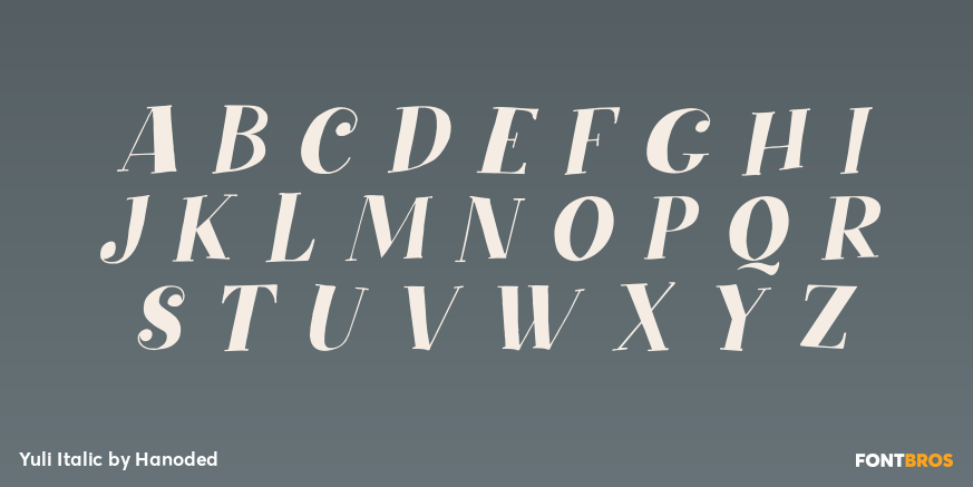 Yuli Italic Font Poster #1