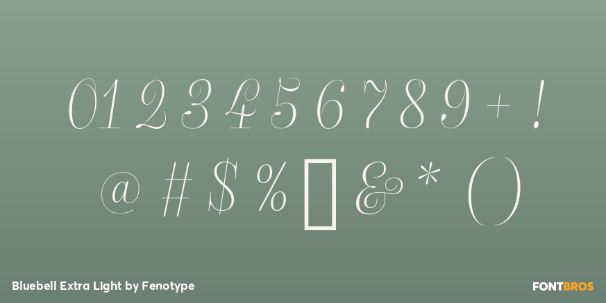 Bluebell Extra Light Font Poster #4