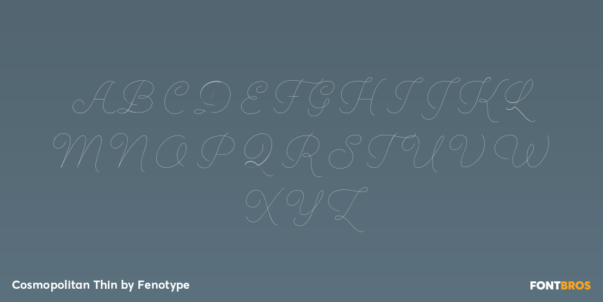 Cosmopolitan Thin Font Poster #2