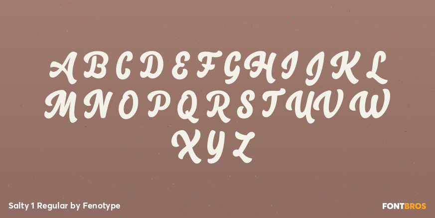 Salty 1 Regular Font Poster #2
