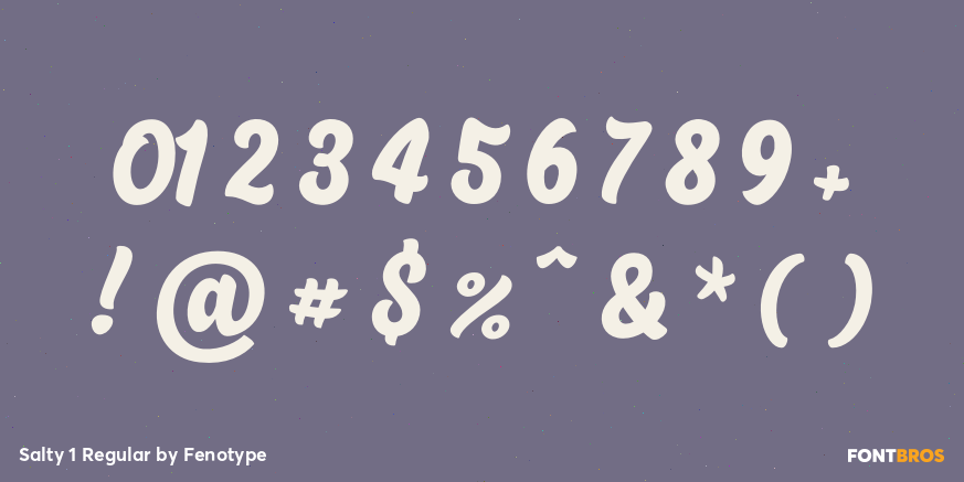 Salty 1 Regular Font Poster #4