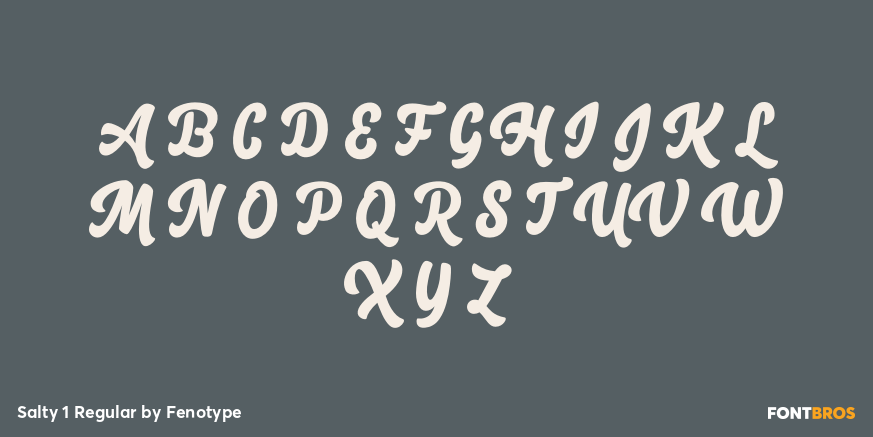 Salty 1 Regular Font Poster #1