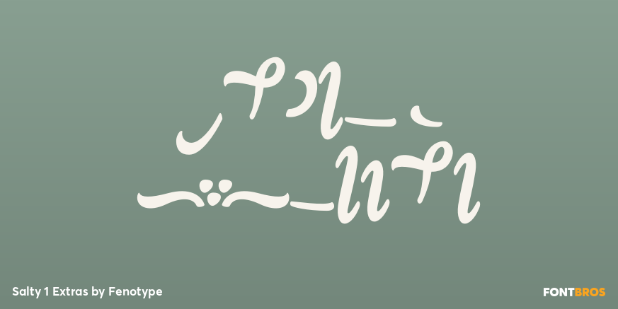 Salty 1 Extras Font Poster #1