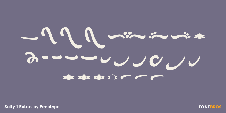 Salty 1 Extras Font Poster #2