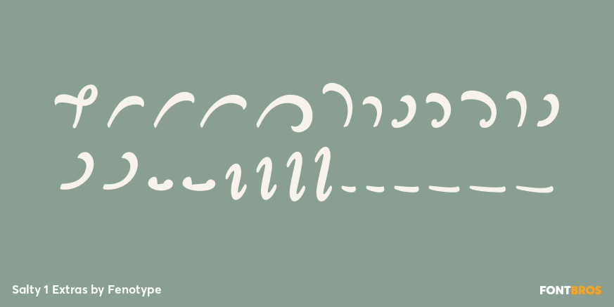 Salty 1 Extras Font Poster #3
