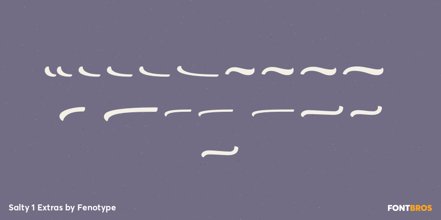 Salty 1 Extras Font Poster #4