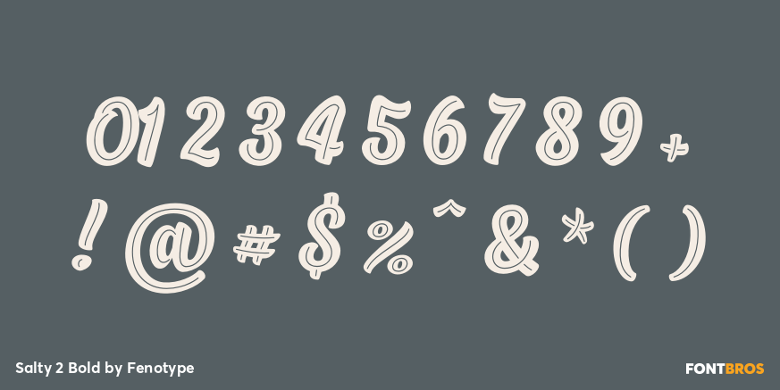 Salty 2 Bold Font Poster #1
