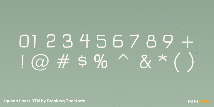 Iguana Lover BTN Font Poster #4