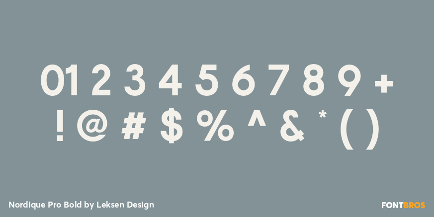 Nordique Pro Bold Font Poster #4