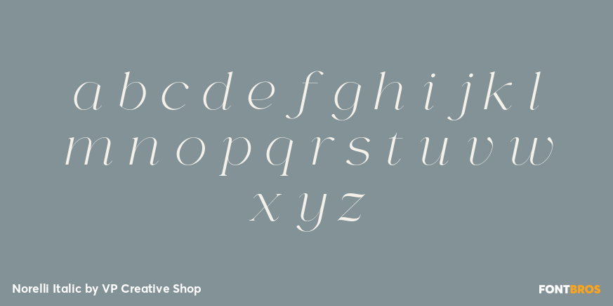 Norelli Italic Font Poster #3