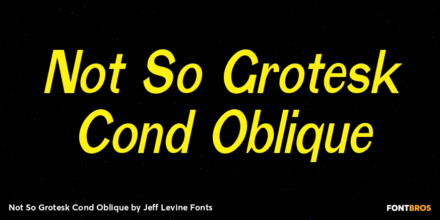 Not So Grotesk Cond Oblique Font Poster #1