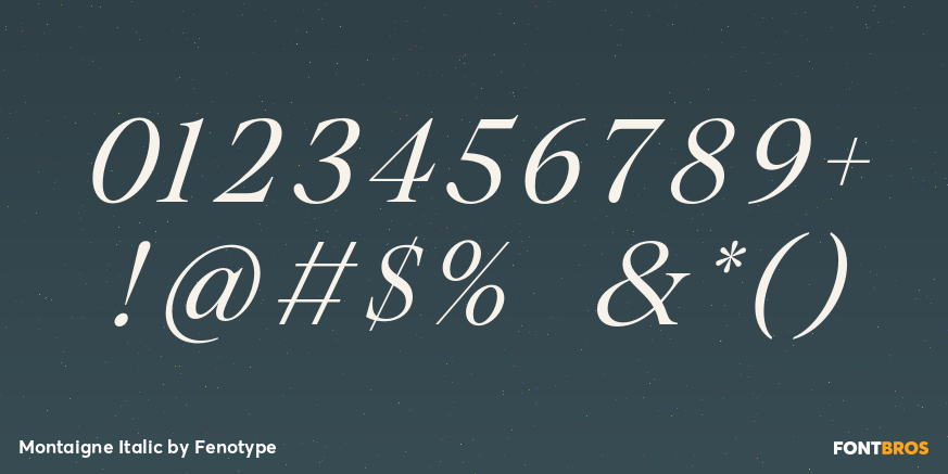 Montaigne Italic Font Poster #1