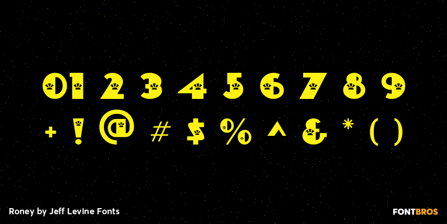 Roney Font Poster #4