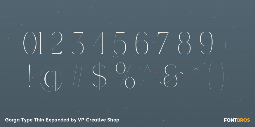 Gorga Type Thin Expanded Font Poster #4