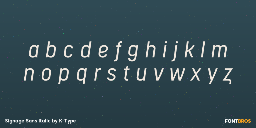 Signage Sans Italic Font Poster #3