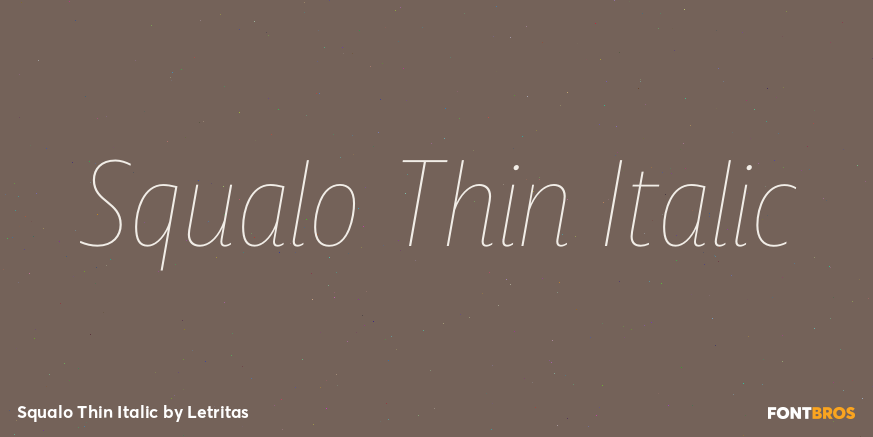 Squalo Thin Italic Font Poster #1