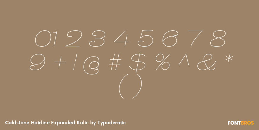 Caldstone Hairline Expanded Italic Font Poster #4