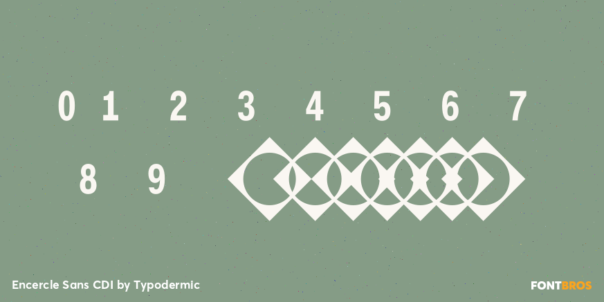 Encercle Sans CDI Font Poster #1