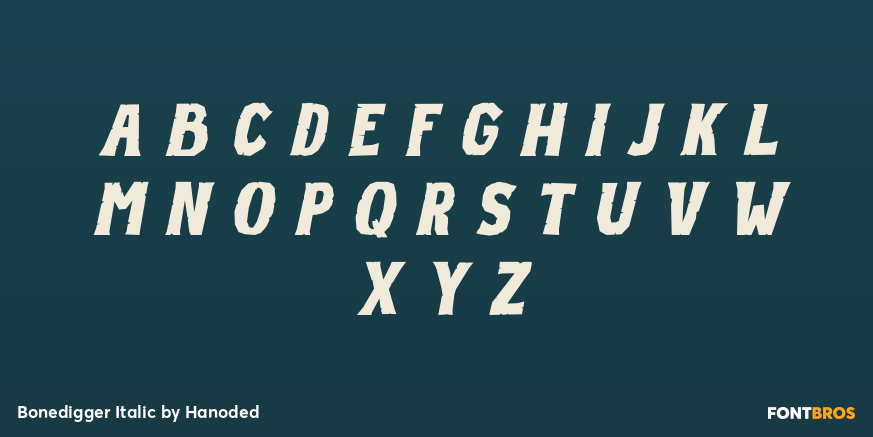 Bonedigger Italic Font Poster #2