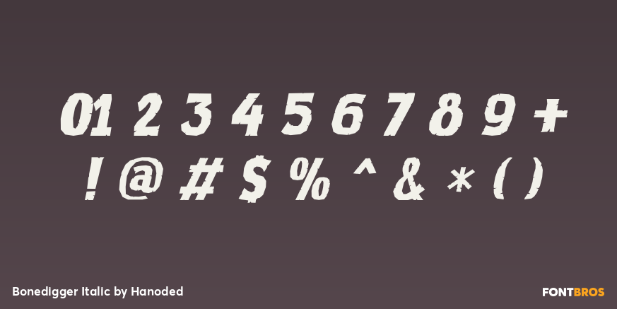 Bonedigger Italic Font Poster #4