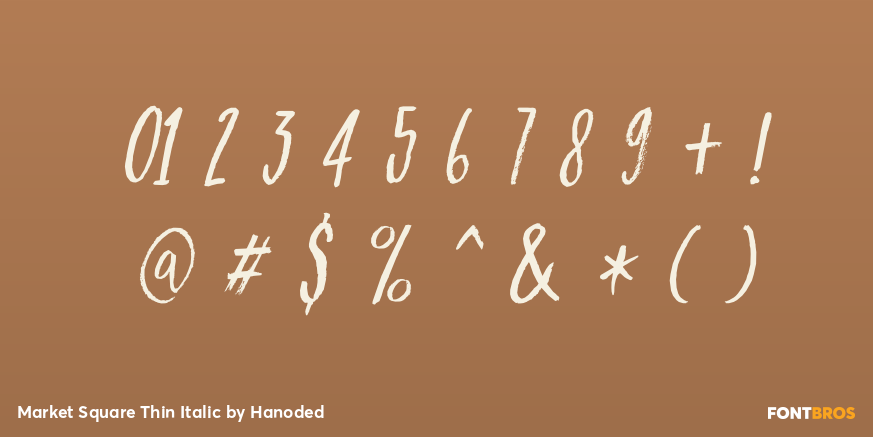 Market Square Thin Italic Font Poster #1
