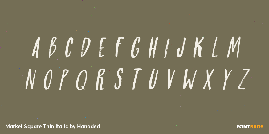 Market Square Thin Italic Font Poster #1