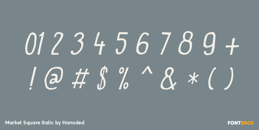 Market Square Italic Font Poster #1