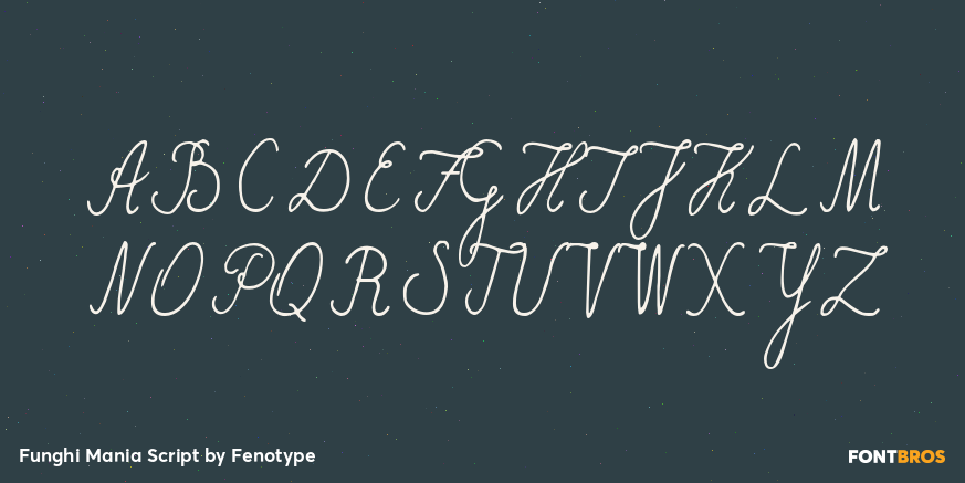 Funghi Mania Script Font Poster #1