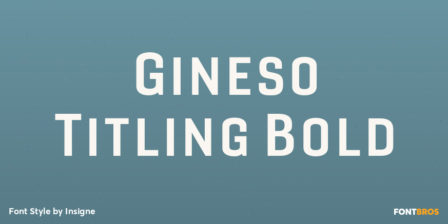 Gineso Titling Bold Font Poster #1
